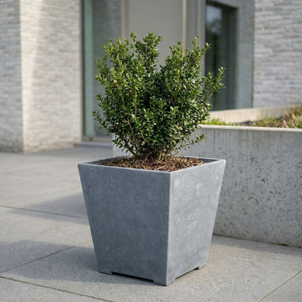 Conische arduinen plantenbak met bodem 50x35x52 cm - Doika - Plantenbak - Doika - 5420024201217 - Cone modern 50x35x52