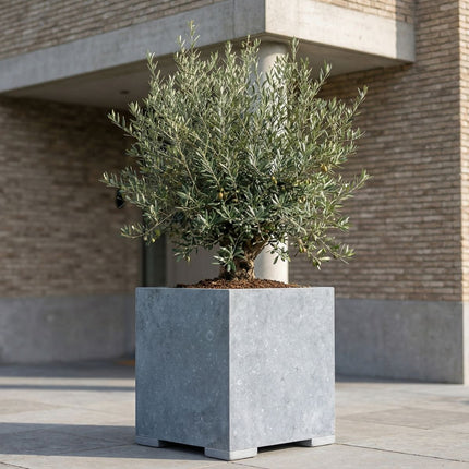 Vierkante arduinen plantenbak met bodem 70x70x72 cm - Modern - Doika - Plantenbak - Doika - 5420024201088 - Square modern 70x70x72 (3cm)