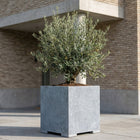 Vierkante arduinen plantenbak met bodem 70x70x72 cm - Modern - Doika - Plantenbak - Doika - 5420024201088 - Square modern 70x70x72 (3cm)