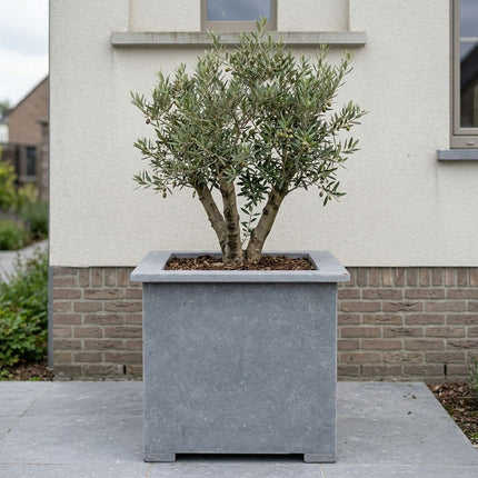 Vierkante arduinen plantenbak met bodem 90x90x94 cm - Doika - Plantenbak - Doika - 5420024201132 - Square classic 90x90x94 (3 cm)